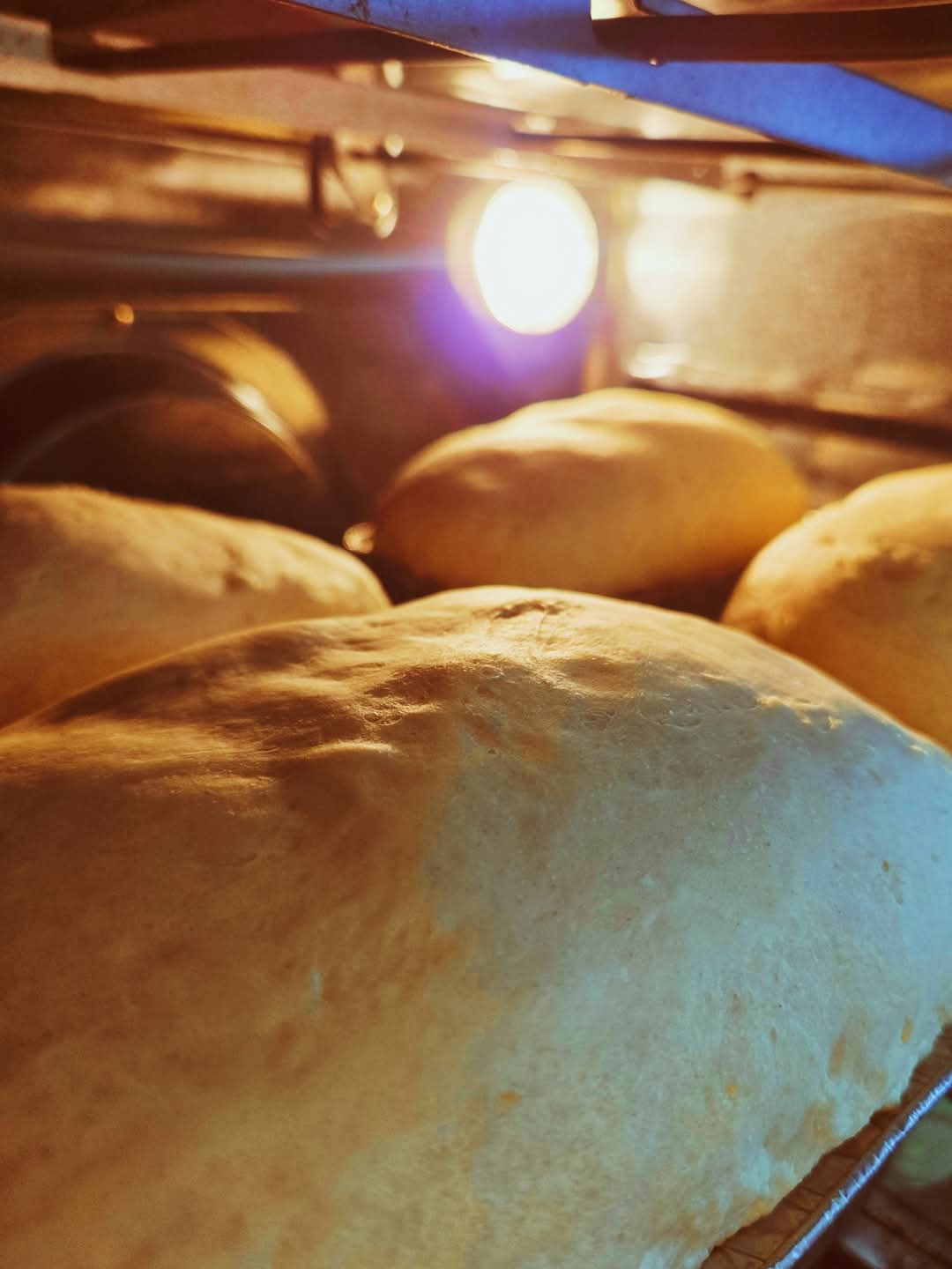 Homemade Bread